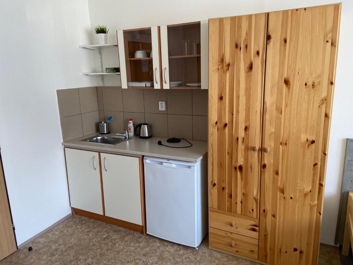 Hradec Králové Apartmany Premyslova מראה חיצוני תמונה